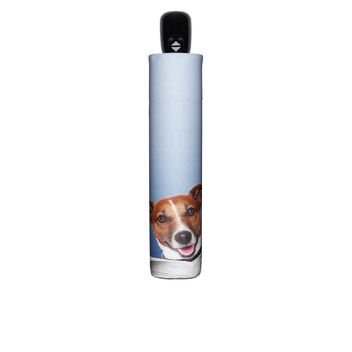 Doppler Modern Art Magic Umbrella - Daily Dog